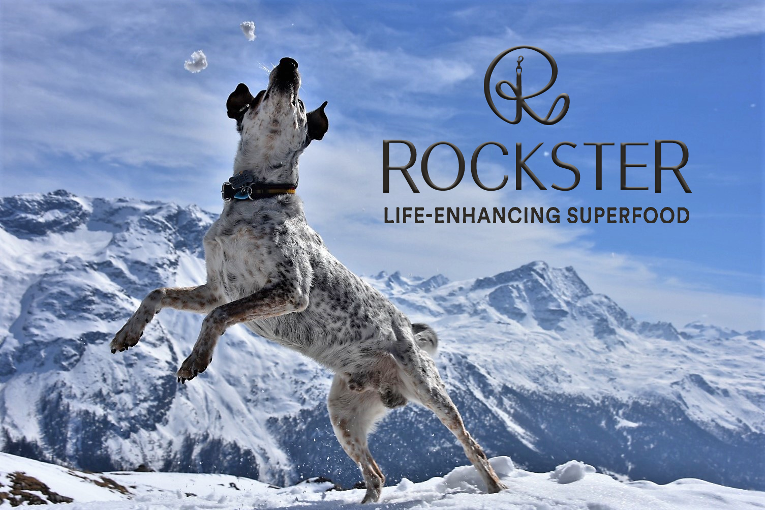 Rockster-Jumping-with-logo.png