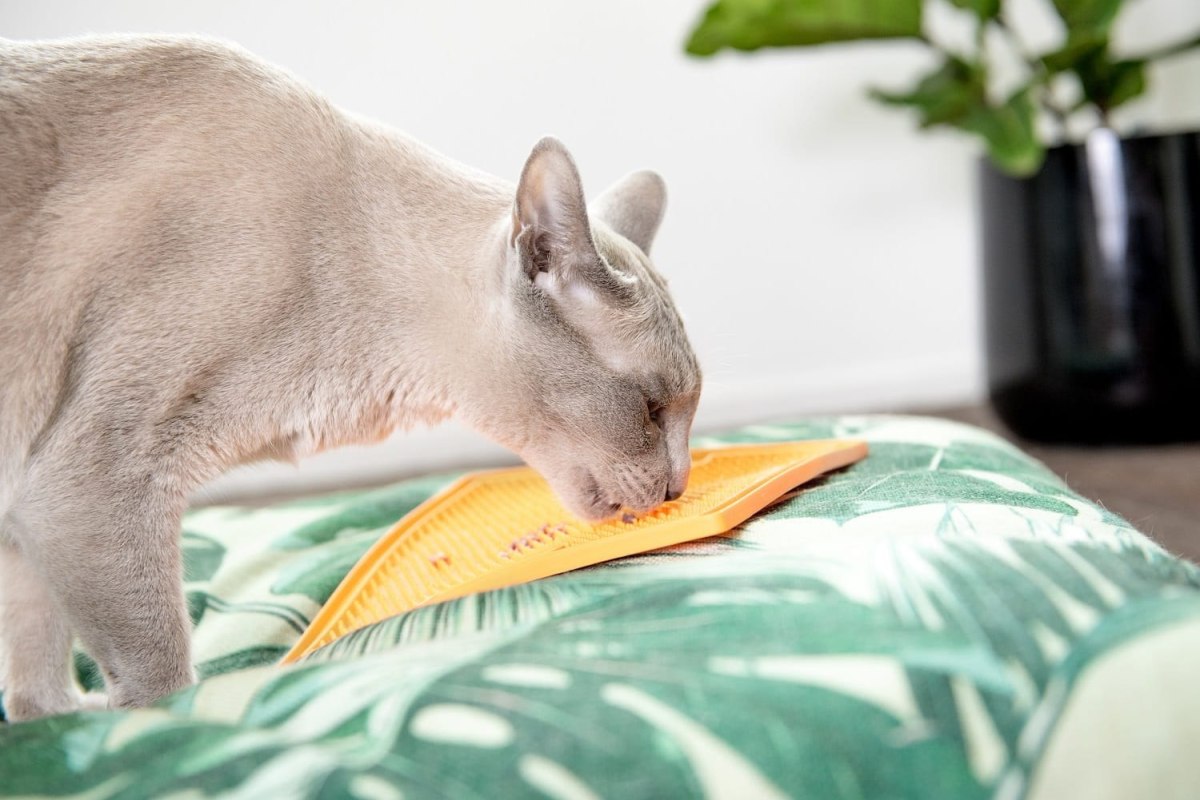 Mata Lickimat SOOTHER dla kotów pomarańczowa