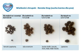 Renske Adult Dog fresh turkey - świeży indyk dla psów seniorów (bez zbóż) 2 kg