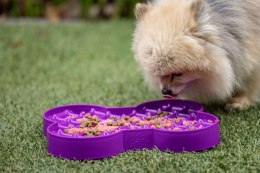 Miska spowalniająca jedzenie dla psa SLODOG SMALL fioletowa