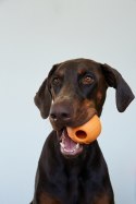 RUCAN CONIC Big Orange - L, średnio twarda, pomarańczowa zabawka na przysmaki dla psa