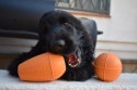 RUCAN CONIC Medium Orange - M, średnio twarda, pomarańczowa zabawka na przysmaki dla psa