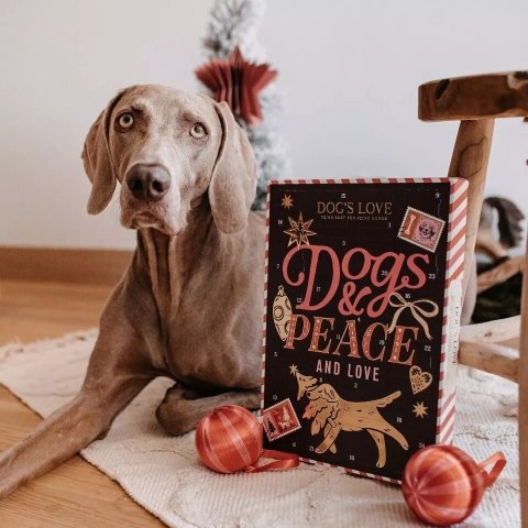 DOG'S LOVE kalendarz adwentowy dla psa (168g)