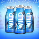 SmoothieDog Winter Wild - smoothie dla psa dziczyzna z warzywami (250ml)