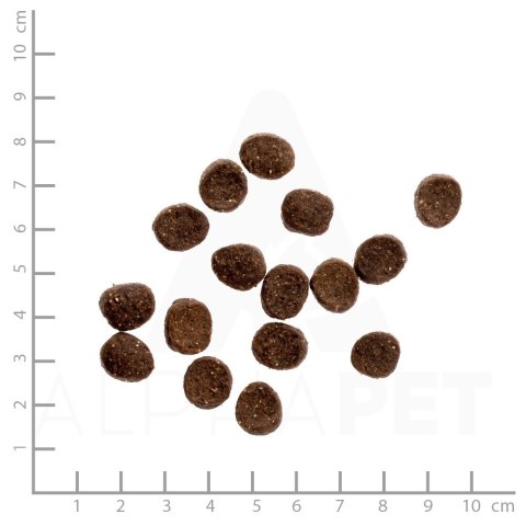 WILDES LAND CAT Huhn - kurczak z warzywami i ziołami (400g)