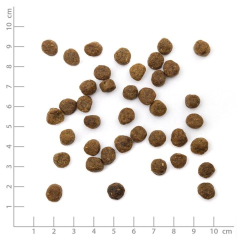 WILDES LAND CAT Junior Huhn - kurczak z warzywami i ziołami dla kociąt (400g)