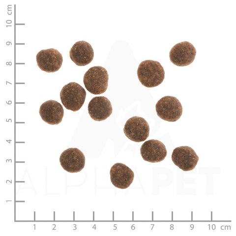 WILDES LAND DOG Ente - kaczka z ziemniakami i ziołami (1kg)