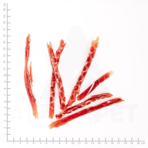 WILDES LAND DOG Entenbrust in Streifen - filet z piersi kaczki w paskach - przysmaki mięsne dla psa (70g)