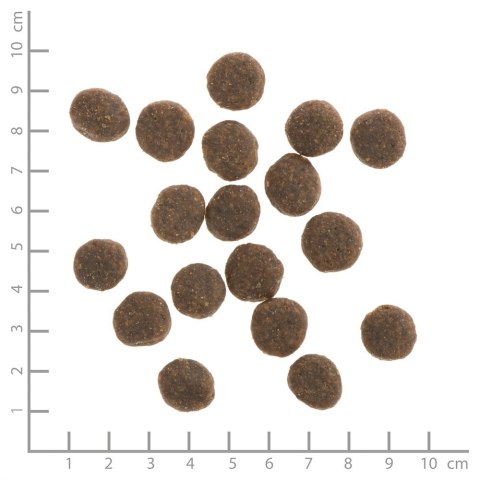 WILDES LAND DOG Forelle Lachs- pstrąg i łosoś z ziemniakami i ziołami (1kg)