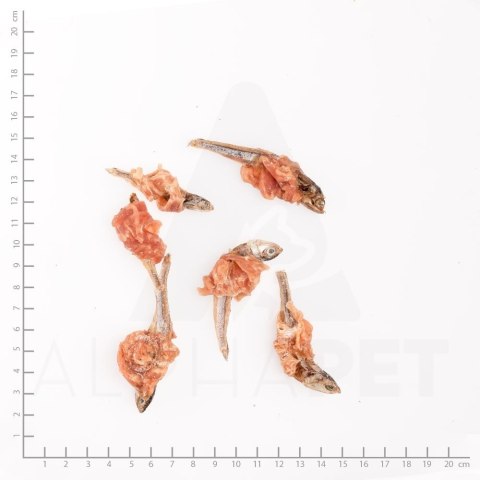 WILDES LAND Hühnerbrust mit Fisch - filet piersi kurczaka z rybkami - przysmaki mięsne dla psa i kota (200g)