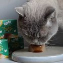 WOW CAT Purrfect Duett Huhn - mus z kurczaka z sosem (2x80g)