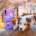 WOW DOG MINI Lamm - z jagnięciną, batatami i cukinią dla psów małych ras (1kg)