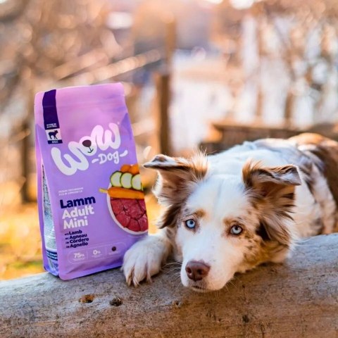 WOW DOG MINI Lamm - z jagnięciną, batatami i cukinią dla psów małych ras (1kg)