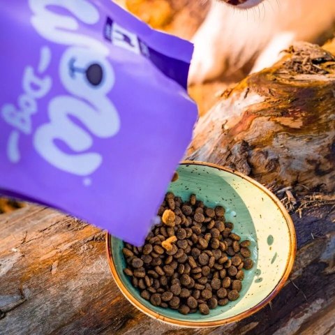 WOW DOG MINI Lamm - z jagnięciną, batatami i cukinią dla psów małych ras (1kg)
