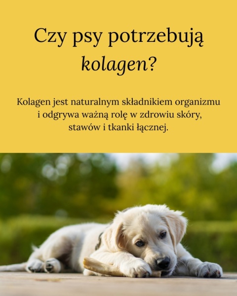DOG'S LOVE Smart Chew Collagen Small - gryzaki kolagenowe (3 szt.x15g)