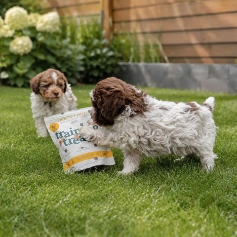 DOG'S LOVE Training Treats Puppy Huhn - przysmaki treningowe z mięsa kurczaka (150g)