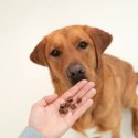 DOG'S LOVE Training Treats Rind - przysmaki treningowe z wołowiny (150g)