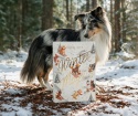 DOG'S LOVE kalendarz adwentowy dla psa edycja 2026 (168g)