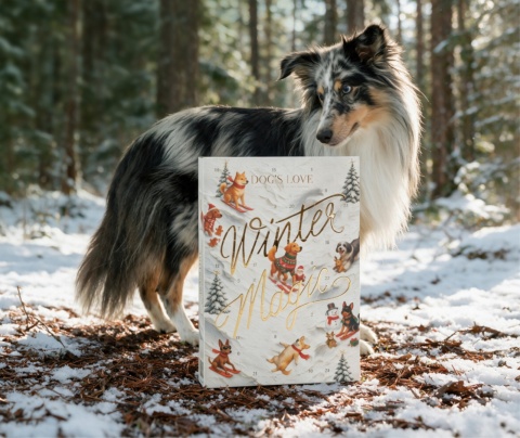 DOG'S LOVE kalendarz adwentowy dla psa edycja 2026 (168g)