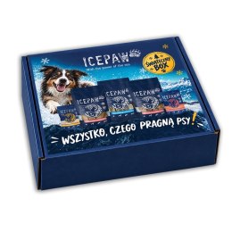 ICEPAW Christmas Box - świąteczny box dla psa