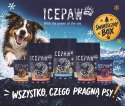ICEPAW Christmas Box - świąteczny box dla psa