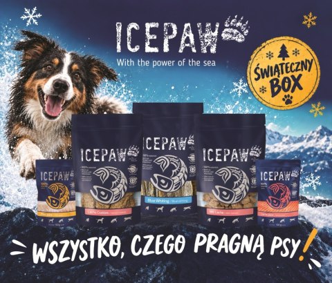 ICEPAW Christmas Box - świąteczny box dla psa