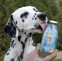 SMOOTHIE DOG Pool Pawty - królik z warzywami i owocami (250ml)