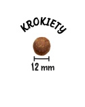 WOW DOG Lamm - z jagnięciną, batatami i cukinią (12kg)