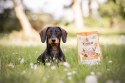 YDOLO MINI Chicken - kurczak i ryby - półwilgotna karma dla psów małych ras (700g)