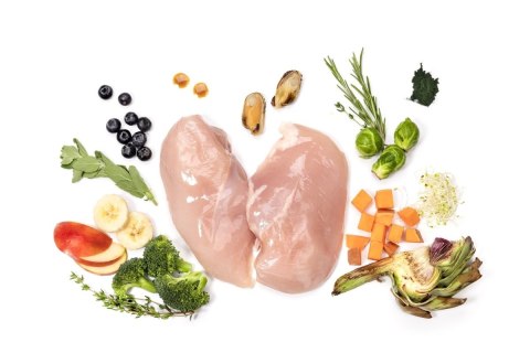 YDOLO MINI Chicken - kurczak i ryby - półwilgotna karma dla psów małych ras (700g)