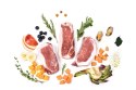 YDOLO MINI Iberico - wieprzowina Iberico - półwilgotna karma dla psów małych ras (700g)