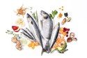 YDOLO MINI Wild Fish - ryby morskie - półwilgotna karma dla psów małych ras (700g)