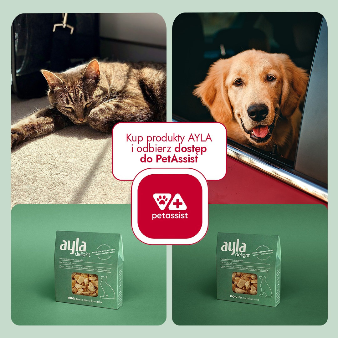 Wakacyjna akcja AYLA i PET ASSIST