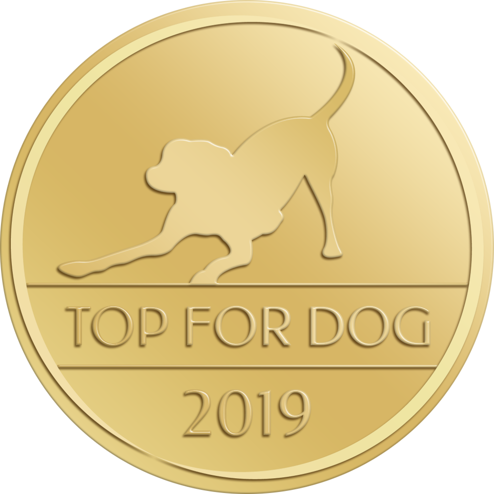 TOP-FOR-DOG-2019-zloto.png