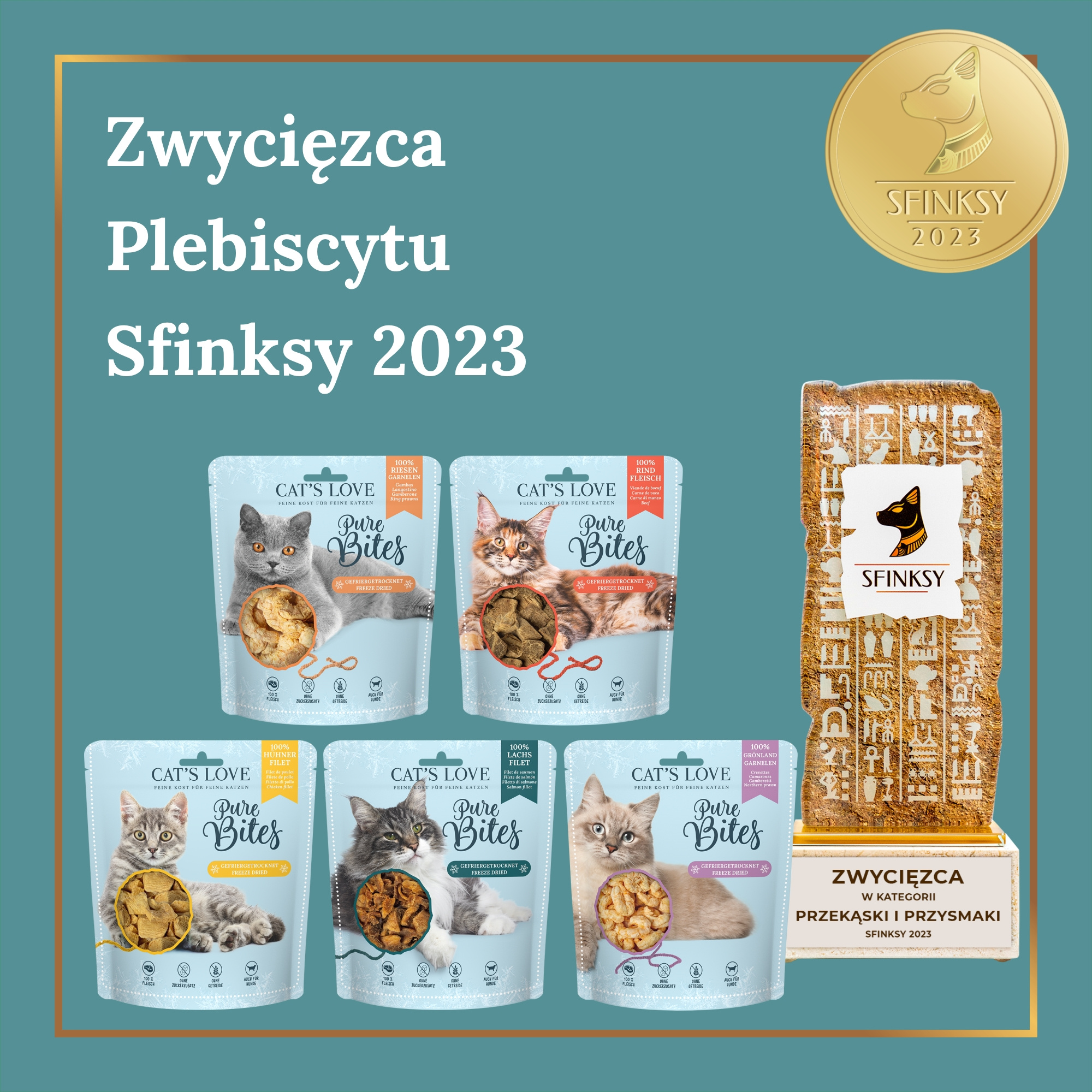 sfinksy-2023-miksy-ZWYCIEZCA(1).jpg